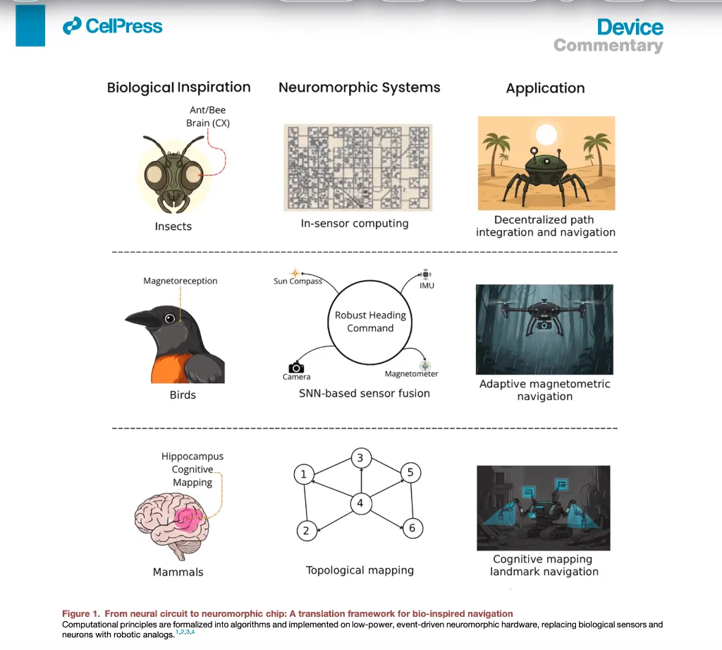 Research Figure 5